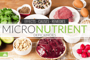 How to Avoid Micronutrient Deficiencies - The Silent Sabotage of the ...